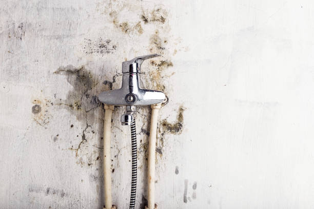 Best Office Mold Removal Services  in Stirling, NJ