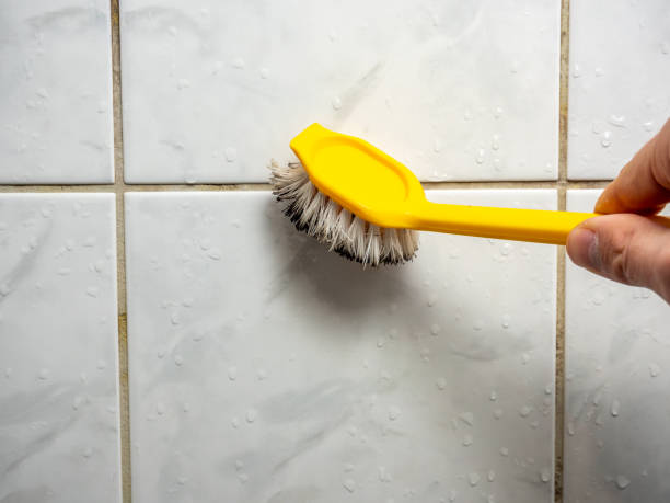  Stirling, NJ Mold Removal Pros