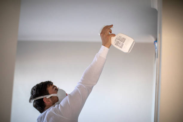 Best Commercial Mold Removal  in Stirling, NJ