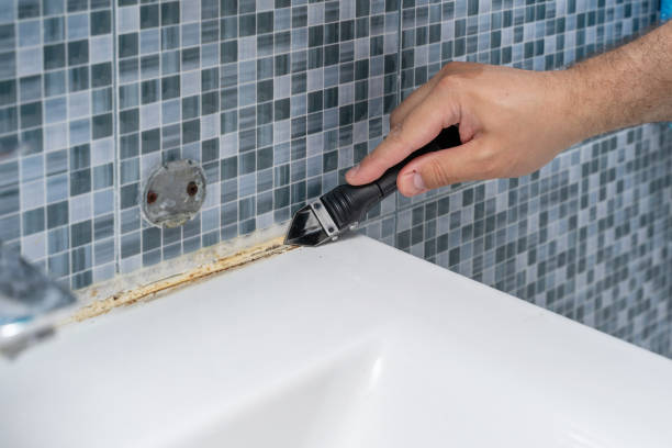 Best Mold Damage Repair  in Stirling, NJ